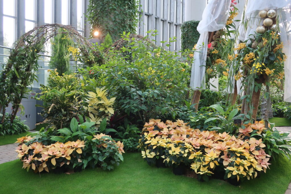 あわじグリーン館は、みんなで楽しめる日本最大級の温室です。