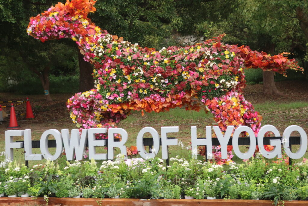 兵庫県・明石公園の花のイベントです。