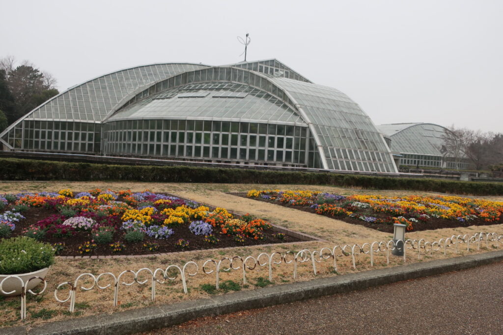 京都府立植物園の温室は、多様な植物が見られます 京都府立植物園の温室は、多様な植物が見られます