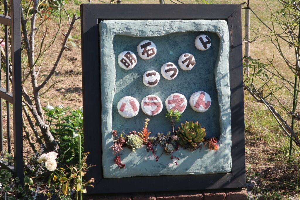 明石公園「バラ園」は、明石駅近くにある小さなバラ園です。